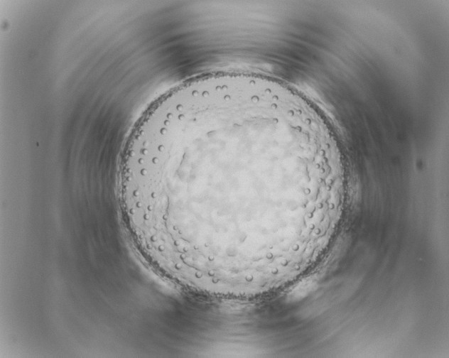 X0000088210848200706121803