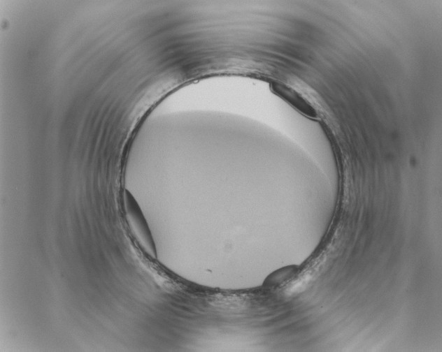 X0000088210850200706121803