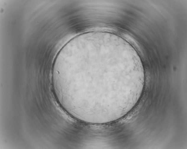 X0000088210852200706121803