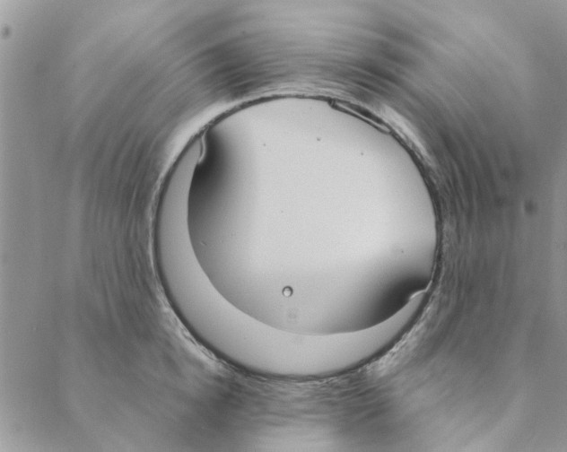 X0000088210854200706121803