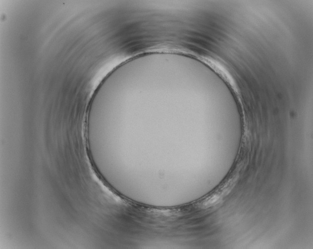 X0000088210855200706121803