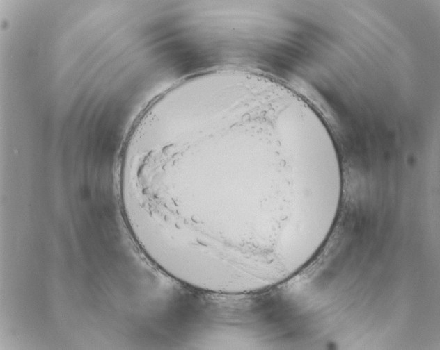 X0000088210856200706121803