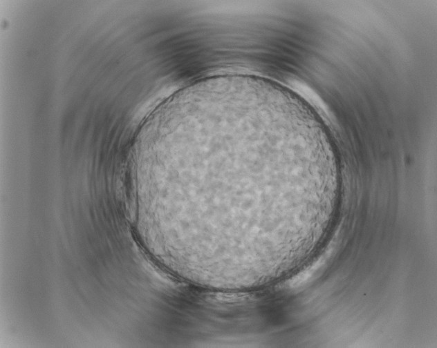 X0000088210857200706121803