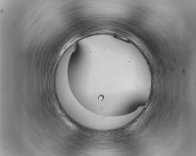 X0000088210858200706121803