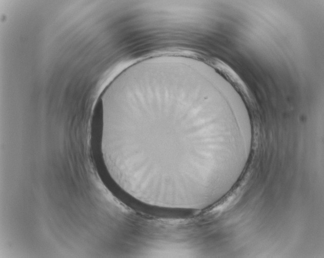 X0000088210860200706121804