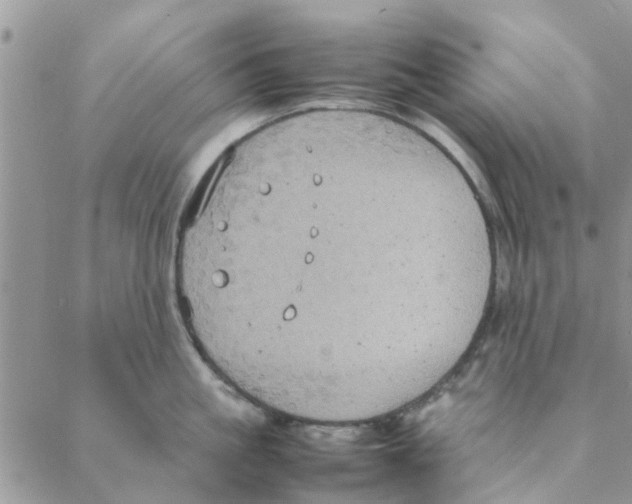 X0000088210861200706121804