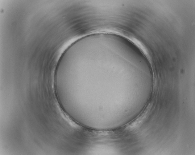 X0000088210862200706121804