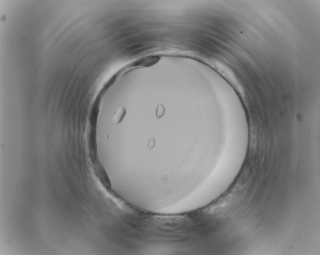 X0000088210863200706121804