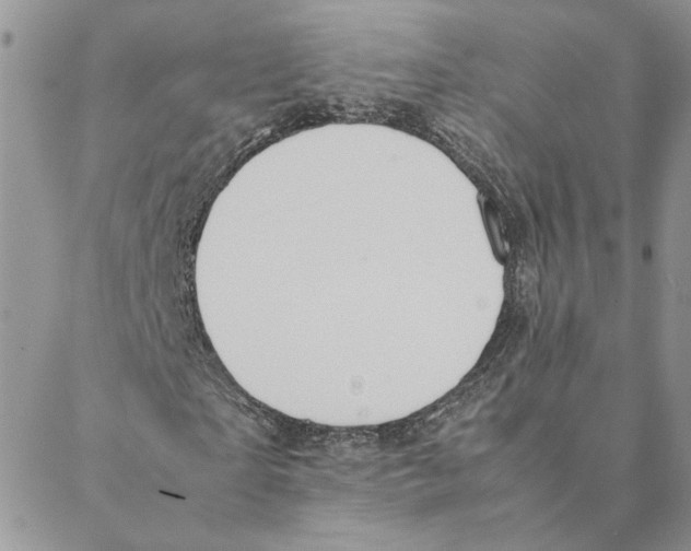 X0000088210865200706121803