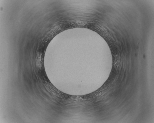 X0000088210866200706121803