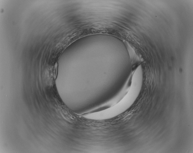 X0000088210868200706121803