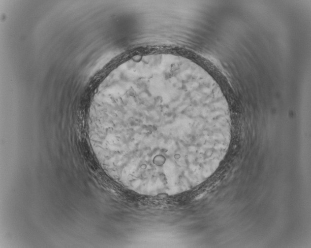 X0000088210871200706121803