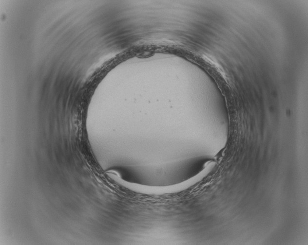 X0000088210872200706121803