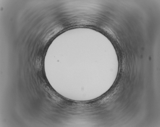 X0000088210873200706121803