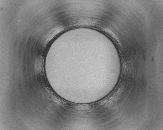 X0000088210874200706121803