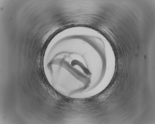 X0000088210875200706121803