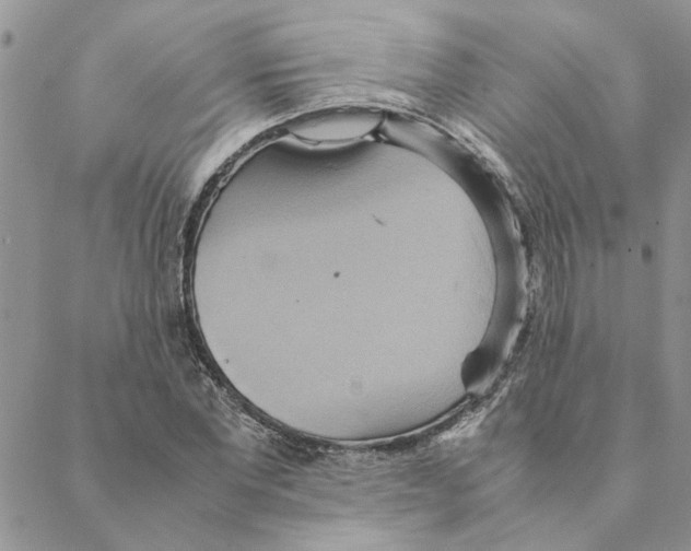 X0000088210877200706121803