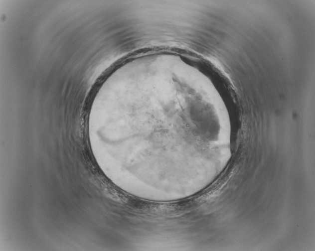 X0000088210879200706121803