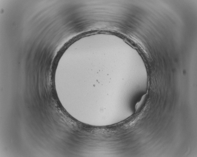 X0000088210880200706121803