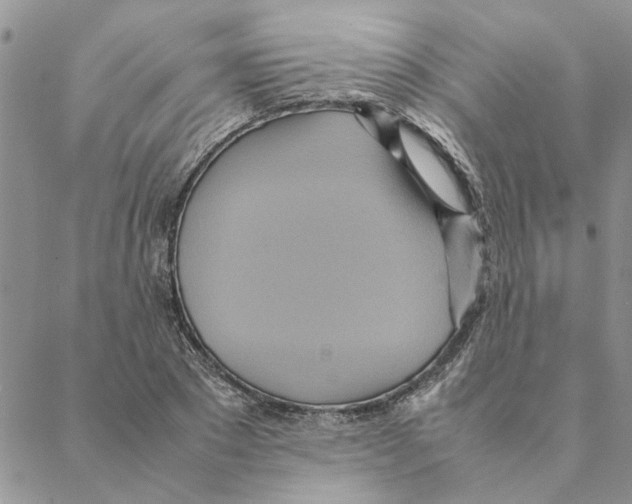 X0000088210881200706121803