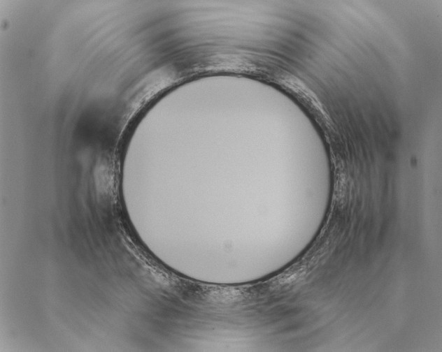 X0000088210882200706121803