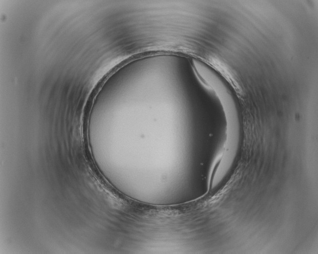 X0000088210884200706121803