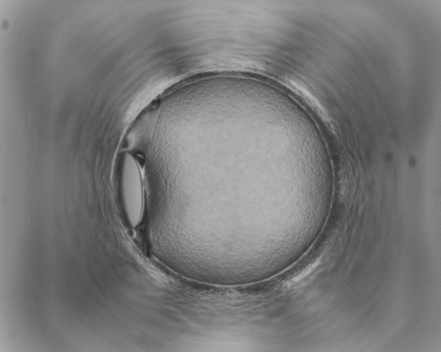 X0000088210885200706121802