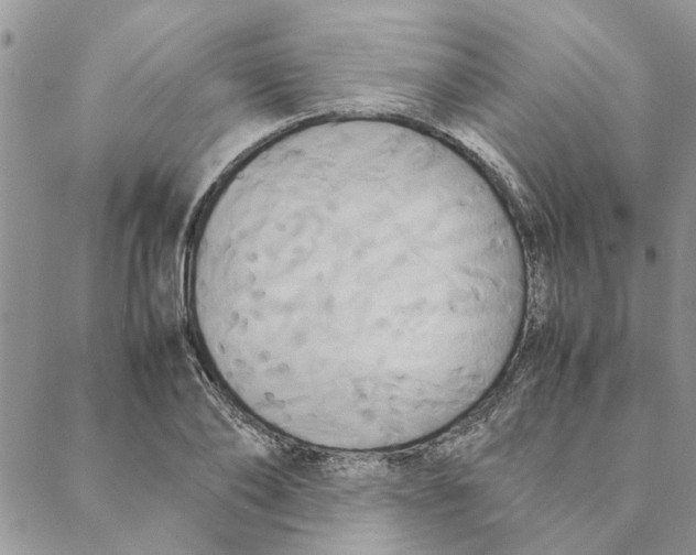 X0000088210886200706121802