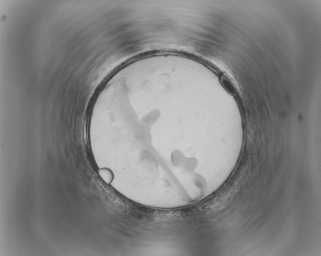 X0000088210887200706121802