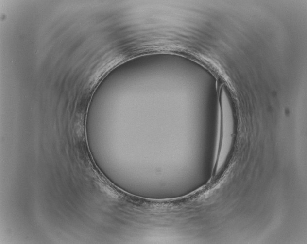 X0000088210889200706121802