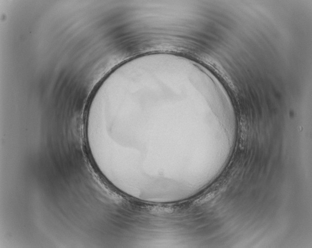 X0000088210890200706121802