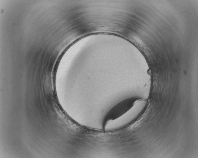 X0000088210892200706121802