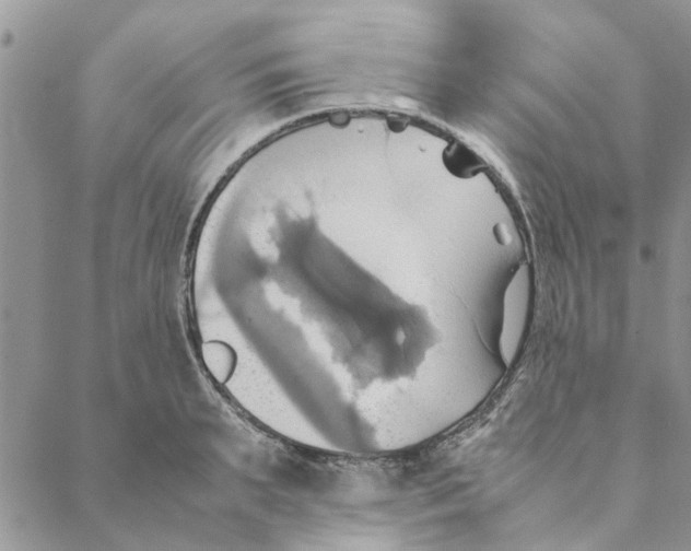 X0000088210895200706121802