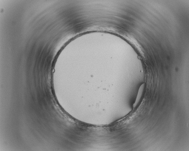 X0000088210896200706121802