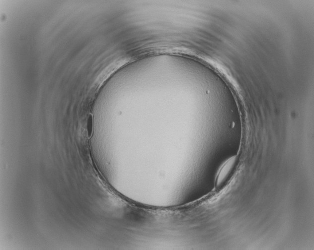 X0000088210897200706121802