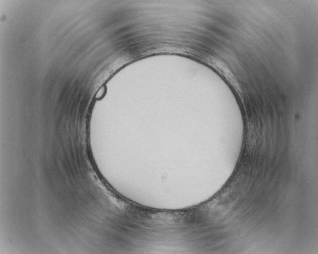 X0000088210898200706121802