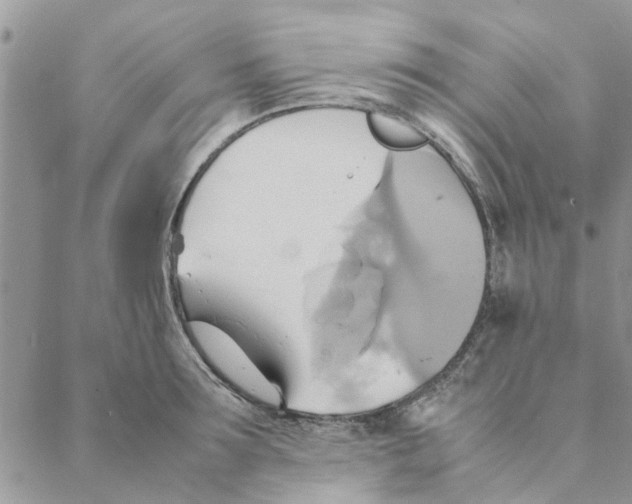 X0000088210899200706121802