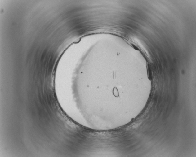 X0000088210900200706121802