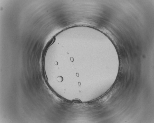 X0000088210902200706121802