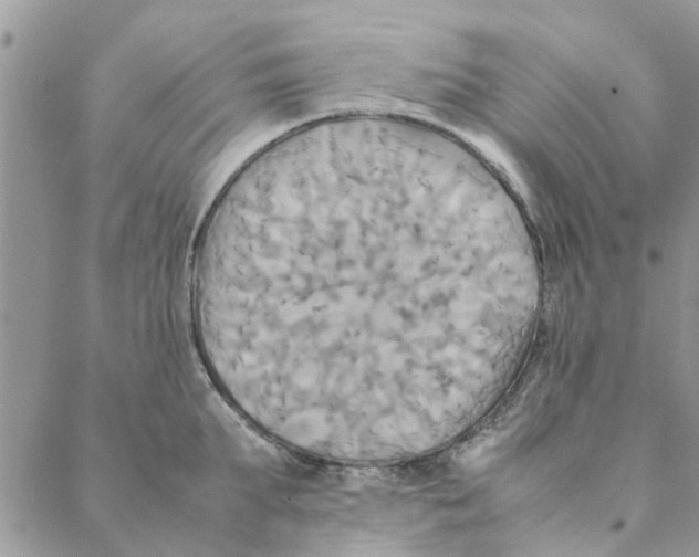 X0000088210903200706121802