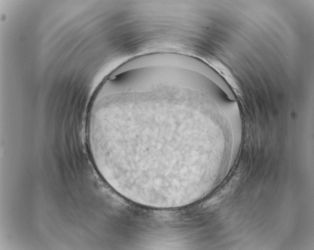 X0000088210904200706121802