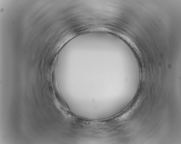 X0000088210905200706121802