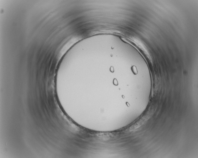 X0000088210906200706121802