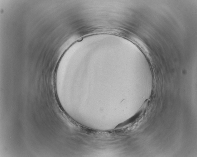 X0000088210907200706121802