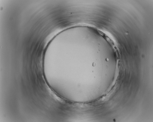 X0000088210910200706121802