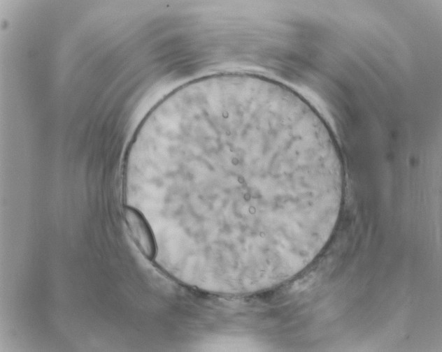 X0000088210911200706121802