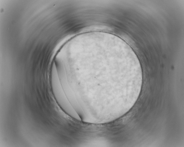 X0000088210912200706121802