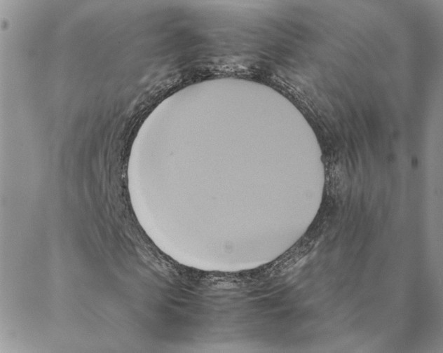 X0000088210913200706121801