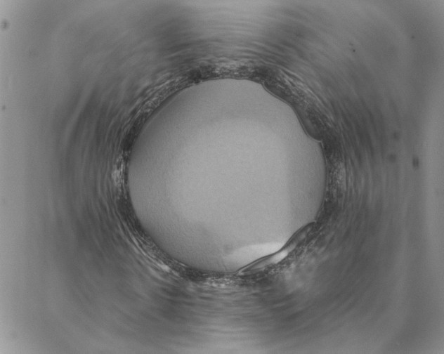 X0000088210914200706121801