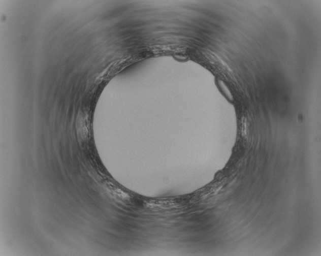 X0000088210915200706121801